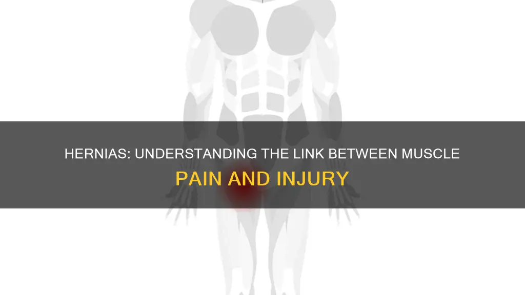 can hernias cause muscle pain