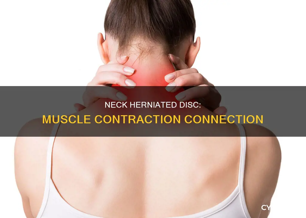 can herniated disc in neck cause muscle contraction