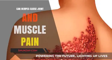 Herpes and Joint Pain: Is There a Link?
