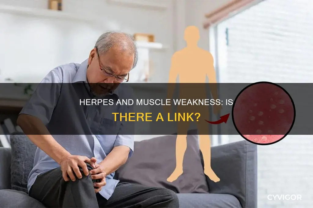 can herpes cause muscle weakness