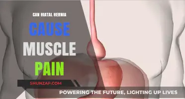Hiatal Hernia: Understanding the Link to Muscle Pain