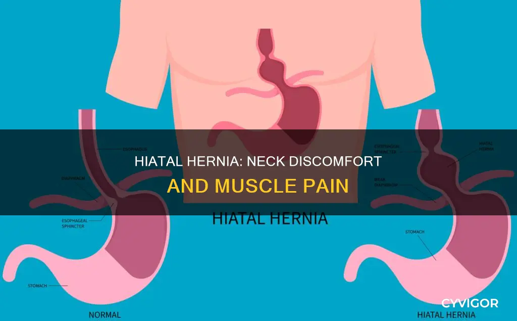can hiatal hernia cause neck muscle discomfort