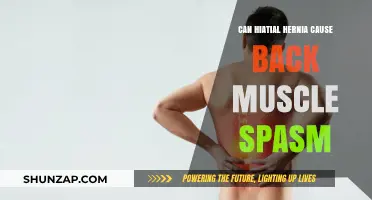 Back Spasms and Hiatal Hernias: What's the Link?