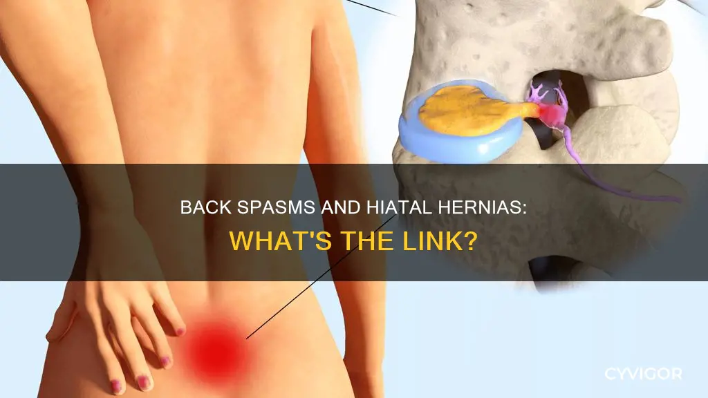 can hiatial hernia cause back muscle spasm
