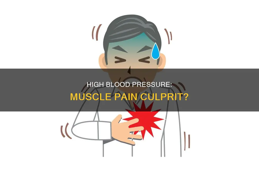 can high blood pressure cause muscle pain