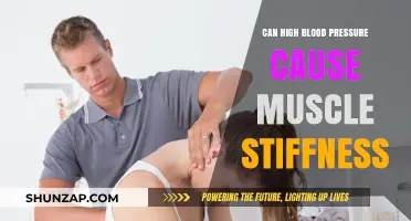 High Blood Pressure: A Link to Muscle Stiffness?