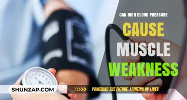 High Blood Pressure: Muscle Weakness Culprit?