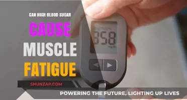 Managing Blood Sugar to Reduce Muscle Fatigue