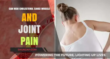 Cholesterol's Link to Muscle and Joint Pain