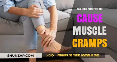 Cholesterol and Muscle Cramps: Is There a Link?