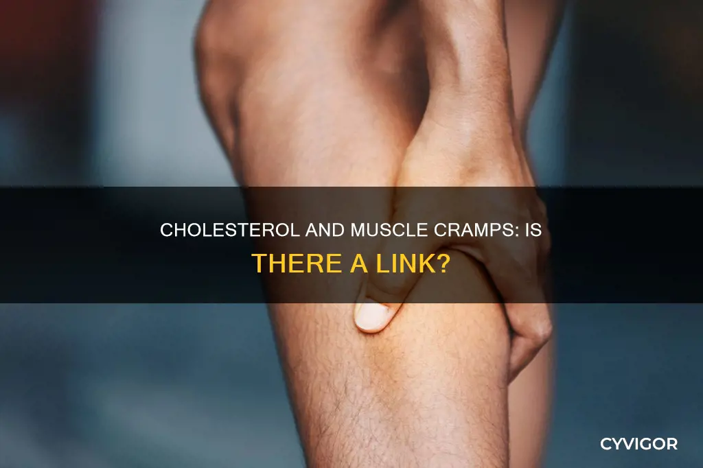 can high cholesterol cause muscle cramps
