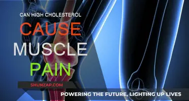 Cholesterol and Muscle Pain: Is There a Link?