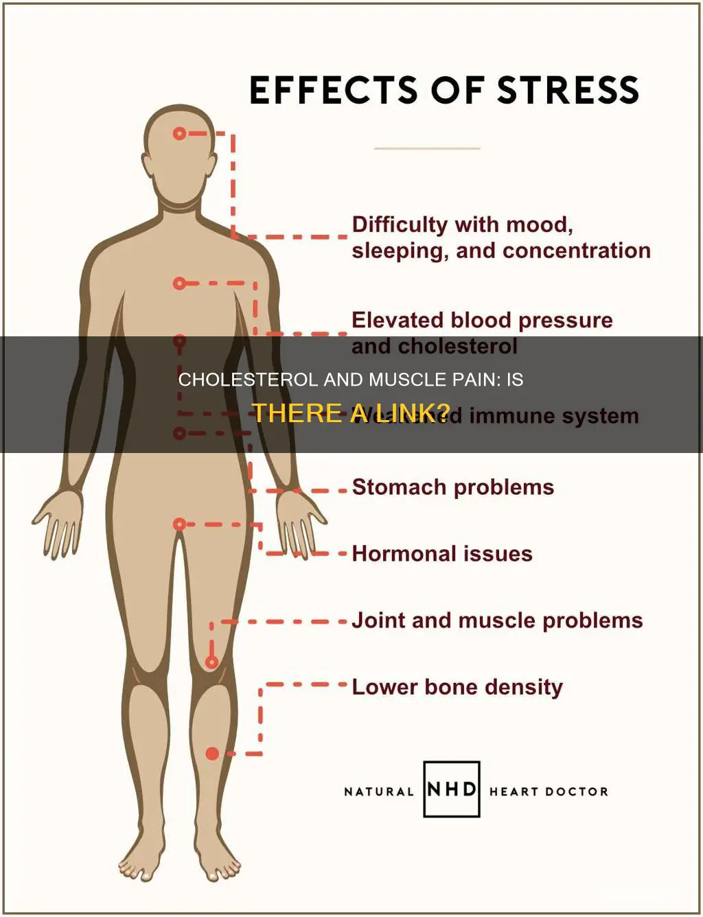 can high cholesterol cause muscle pain
