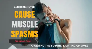 Cholesterol and Muscle Spasms: Is There a Link?