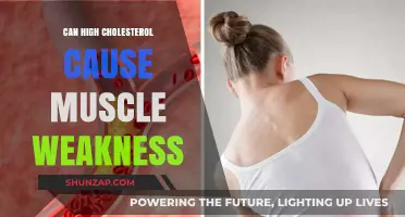 Cholesterol and Muscle Weakness: Is There a Link?