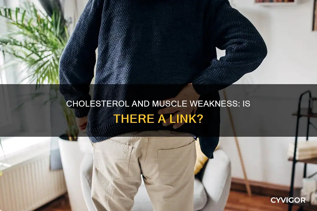 can high cholesterol cause muscle weakness