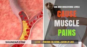 Cholesterol and Muscle Pain: Is There a Link?