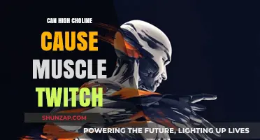 Choline and Muscle Twitch: What's the Connection?