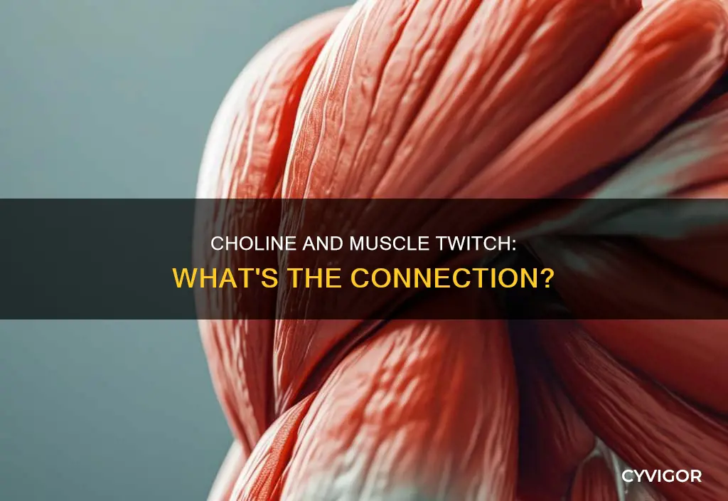can high choline cause muscle twitch