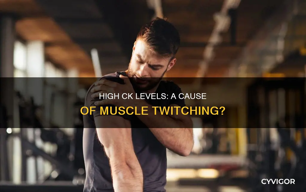 can high ck levels cause muscle twitching