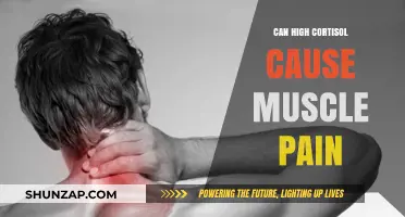 Cortisol and Muscle Pain: Is There a Link?