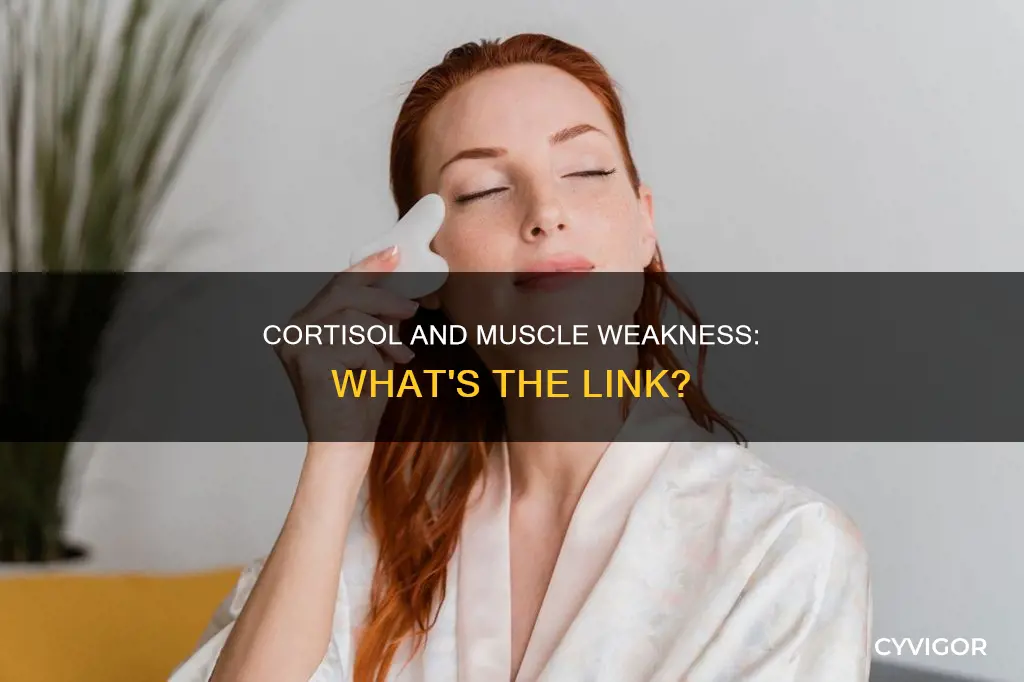 can high cortisol levels cause muscle weakness