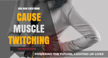 High Creatinine: A Cause of Muscle Twitching?