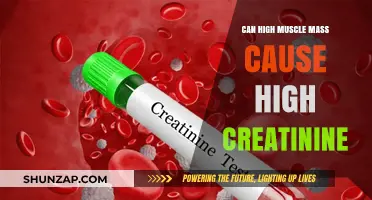 Muscle Mass and Creatinine: What's the Connection?