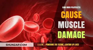 High Platelets: A Risk Factor for Muscle Damage?