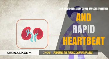 Potassium Overload: Muscle Twitch and Heartbeat Havoc