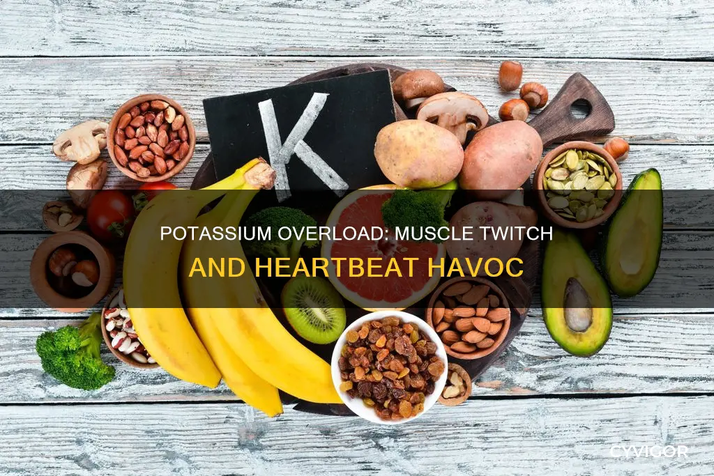 can high potassium cause muscle twitches and rapid heartbeat