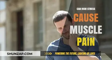 Stress and Muscle Pain: What's the Link?