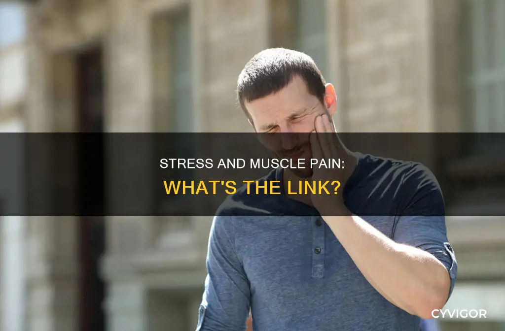 can high stress cause muscle pain