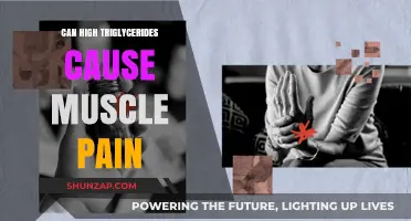 Triglycerides and Muscle Pain: Is There a Link?