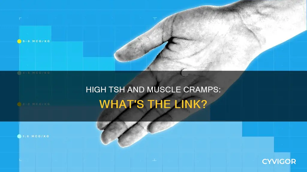 can high tsh cause muscle cramps