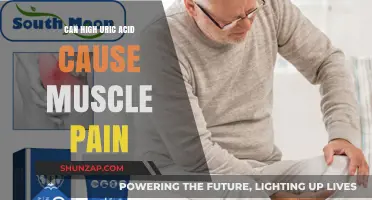 High Uric Acid: Is It Behind Your Muscle Pain?
