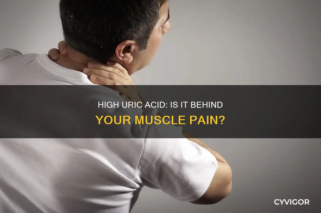 can high uric acid cause muscle pain