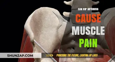 Arthritis and Muscle Pain: What's the Link?