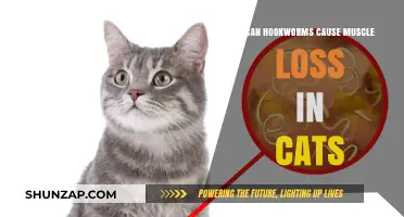 Hookworms: A Cat Muscle Loss Mystery