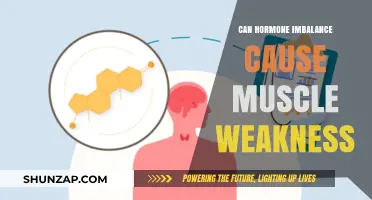 Hormone Imbalance: A Cause of Muscle Weakness?