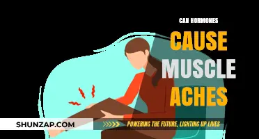 Hormones and Muscle Aches: What's the Link?