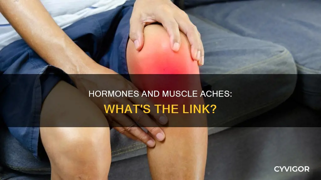 can hormones cause muscle aches