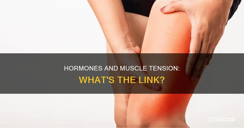can hormones cause muscle tension