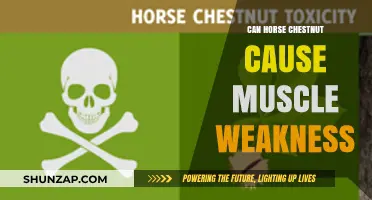 Horse Chestnut: A Muscle Weakness Trigger?