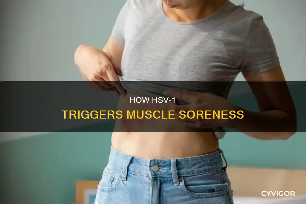 can hsv 1 cause muscle soreness