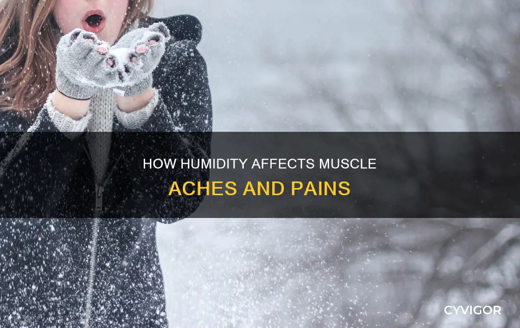 can humidity cause muscle aches
