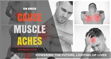 How Hunger Affects Muscle Health