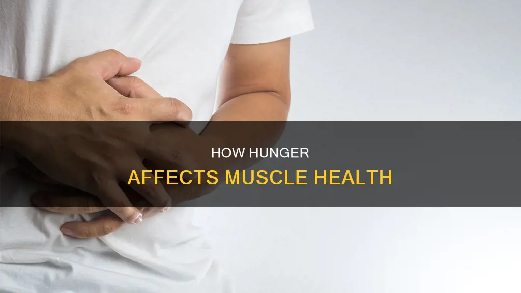 can hunger cause muscle aches