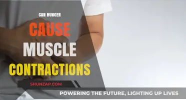 How Hunger Influences Muscle Contractions