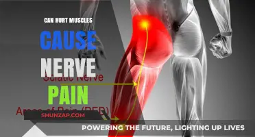 Muscle Pain and Nerve Pain: What's the Connection?